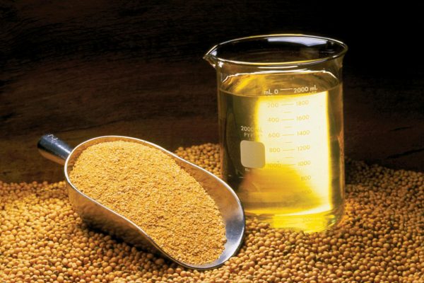 Soybeans: GMO/non-GMO, IP, food-grade, feed-grade